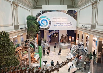 National Fossil Hall 'Deep Time' to reopen June 8 at the Smithsonian National Museum of Natural History