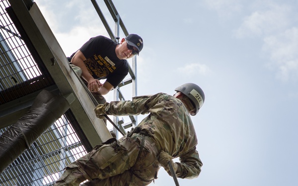 Mentorship from Above