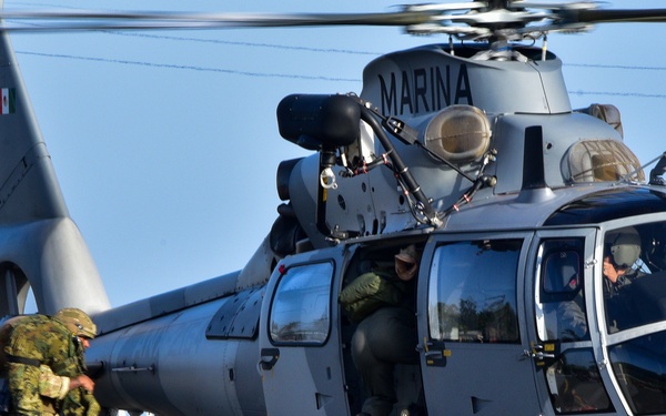 Exercise Tradewinds 19