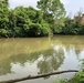 Sheraden Park Aquatic Ecosystem Restoration Project Vernal Pool