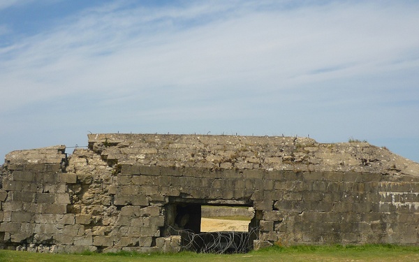 65th D-Day anniversary