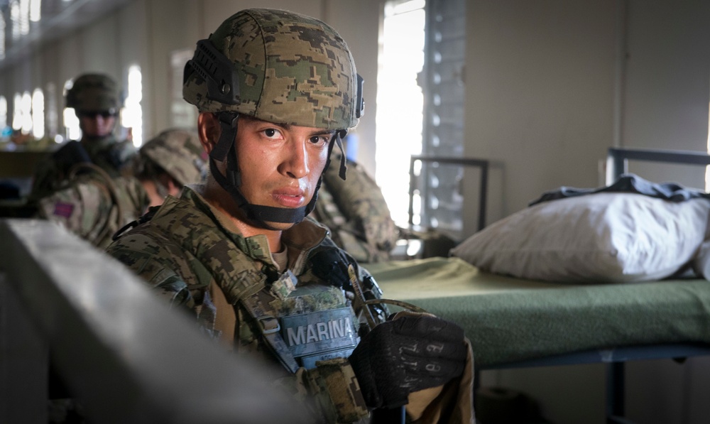 Exercise TRADEWINDS 19