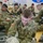 Alaska National Guardsmen mobilize at Fort Bliss