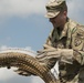 Iowa Army National Guard Soldier Participates in Saber Guardian 2019