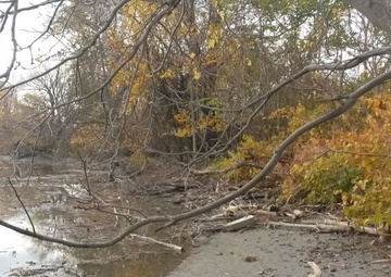 Corps of Engineers awards contract for Katherine Street Habitat Restoration