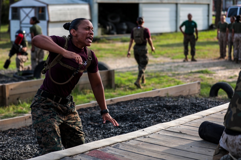 Papa Company Pugil Sticks