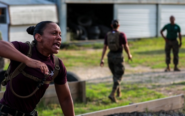 Papa Company Pugil Sticks