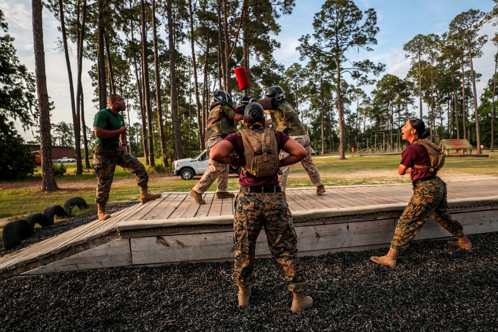 Papa Company Pugil Sticks