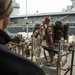 Spanish Marines embark on the USS Fort McHenry, BALTOPS 2019