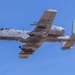 A-10 Thunderbolt prepares for austere landing
