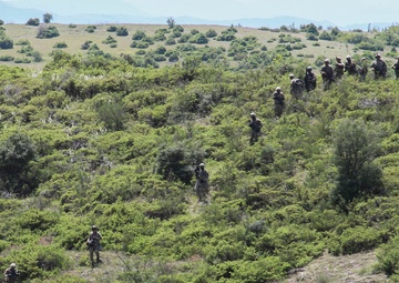 Decisive Strike 2019: 56th SBCT CALFEX Rehearsal
