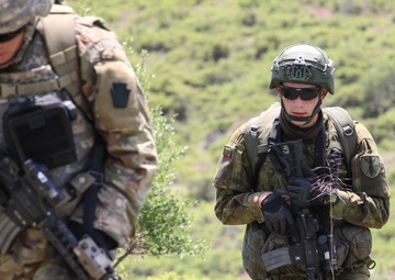 Decisive Strike 2019: 56th SBCT CALFEX Rehearsal