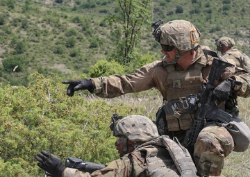 Decisive Strike 2019: 56th SBCT CALFEX Rehearsal