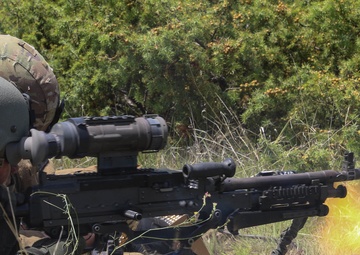 Decisive Strike 2019: 56th SBCT CALFEX Rehearsal