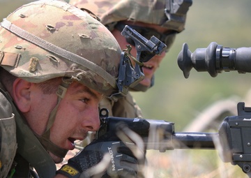 Exercise Decisive Strike 2019 Creates Memories and Builds Partnerships