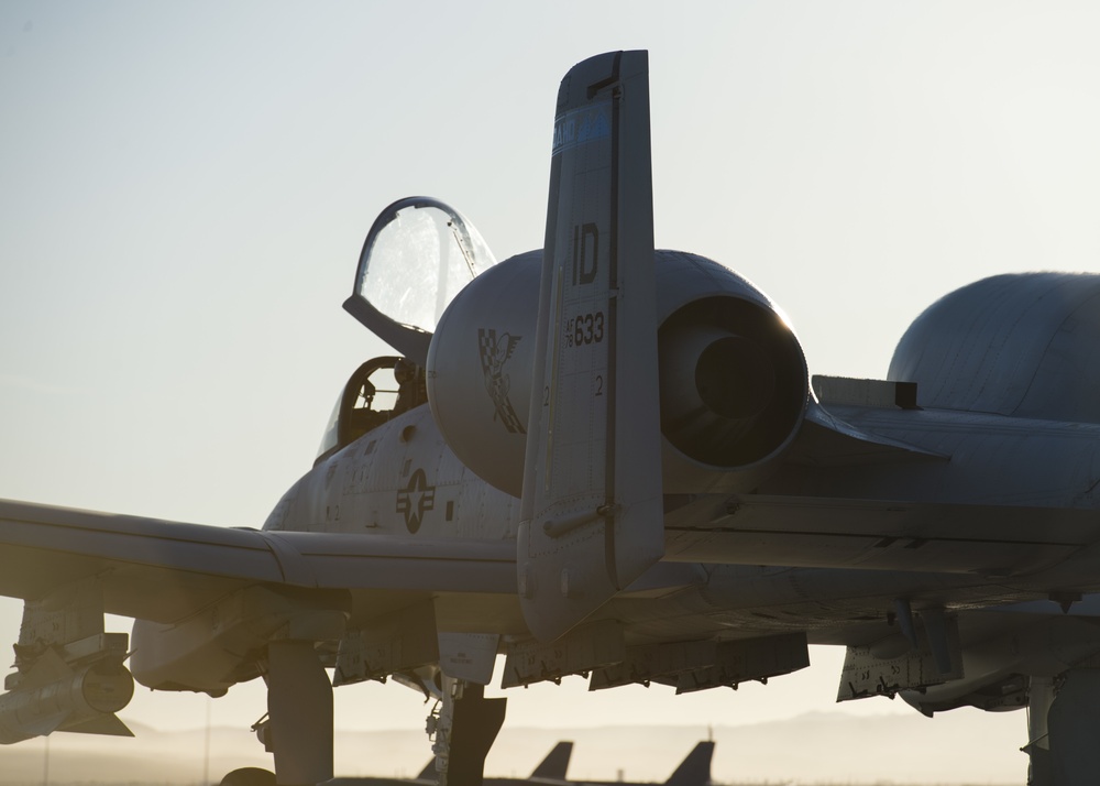 A-10s take an early morning flight during Green Flag-West