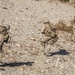 Platoon attack training on Range 410 during ITX 4-19