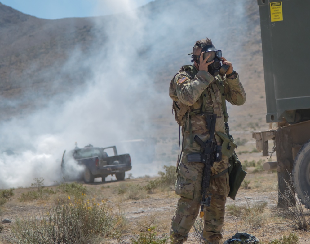 Idaho Army National Guard Soldiers from the 145th Brigade Support Battalion, 116th Cavalry Brigade Combat Team, don protective masks