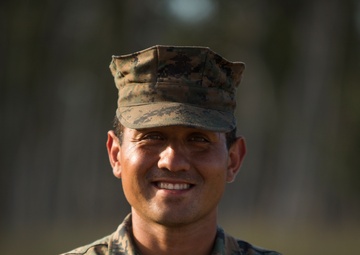 Not lost in translation