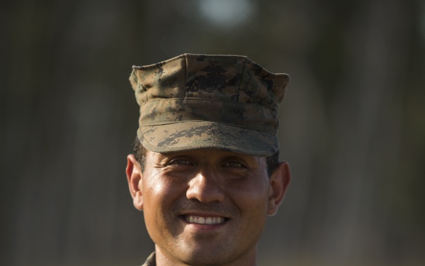 Not lost in translation