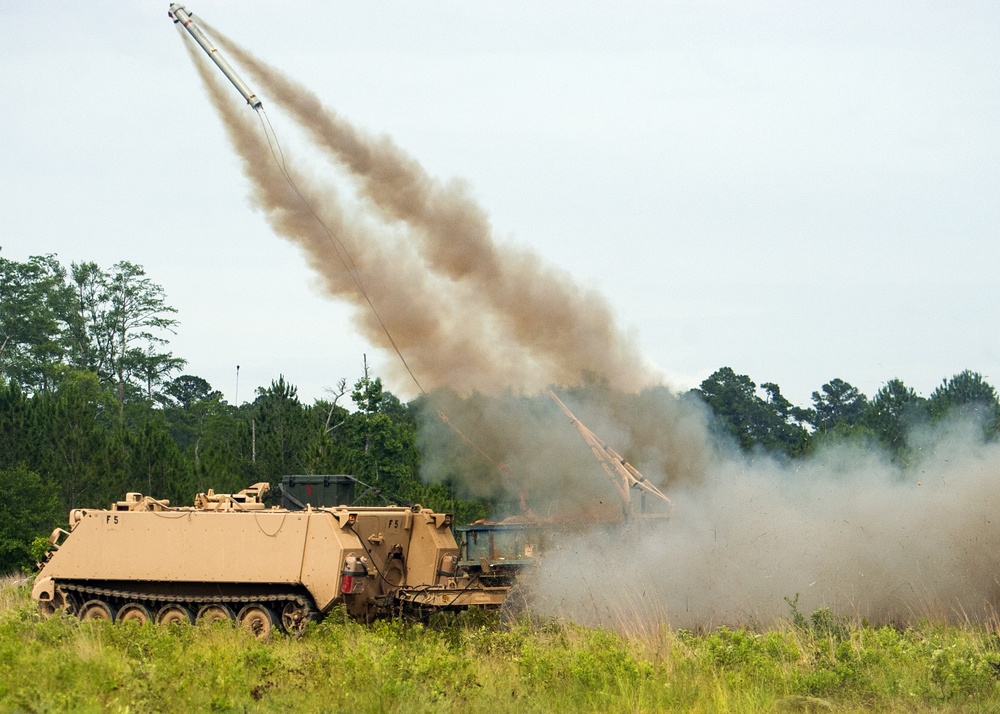 Engineers Conduct Mine Clearing Training