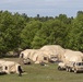 10th Mountain Division conducts its Warfighter Exercise