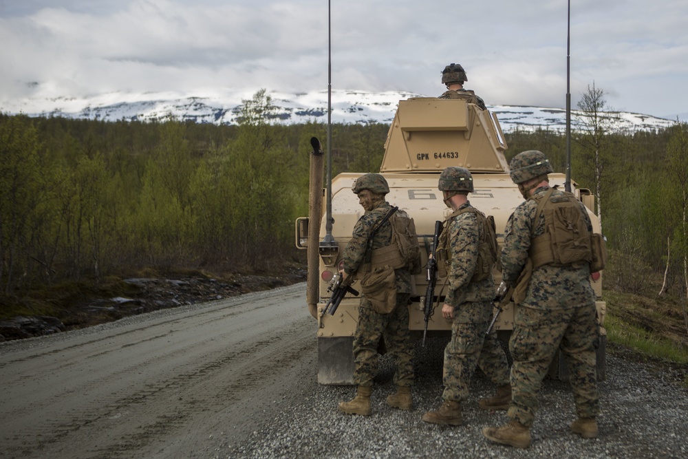 Thunder Reindeer 19: Live-fire exercise rehearsal
