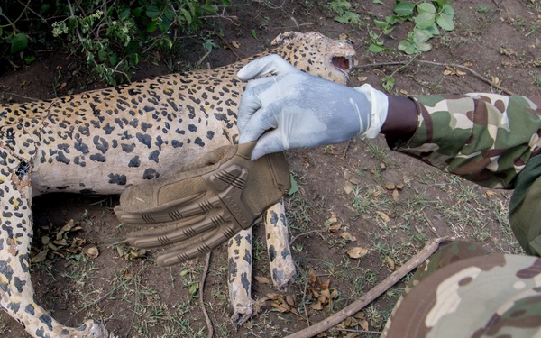 UWA completes CULEX for Counter Illicit Trafficking Training led by U.S. Army