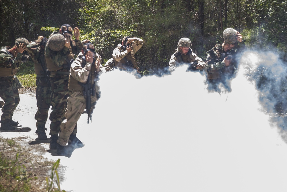 CBRN conducts CS gas training