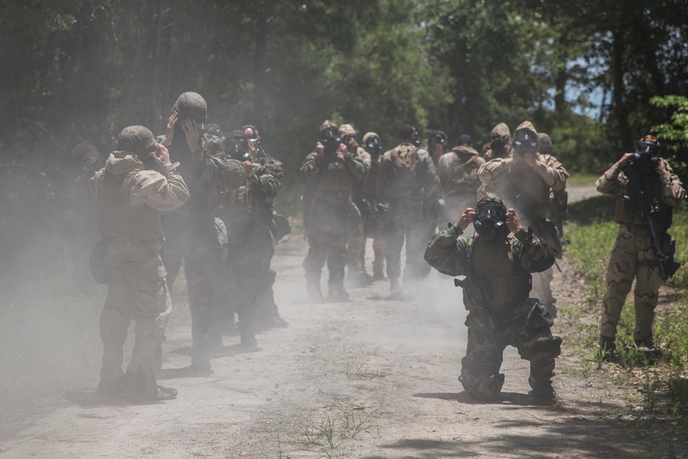 CBRN conducts CS gas training