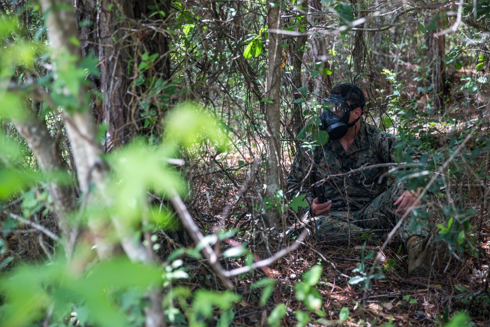 CBRN conducts CS gas training