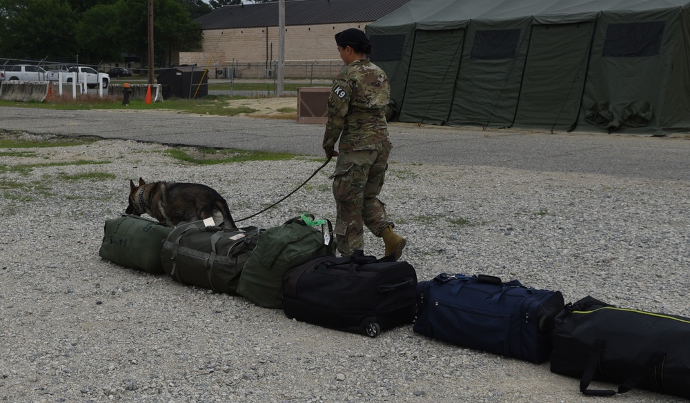 MWD searches luggage