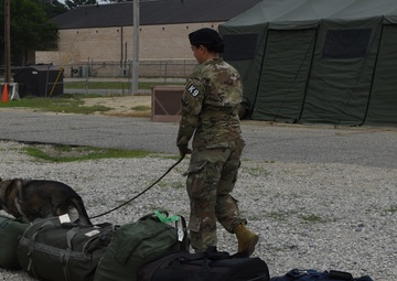MWD searches luggage