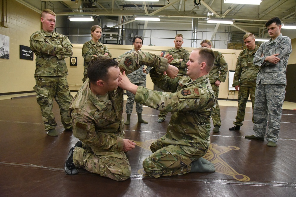 119th Security Forces members train for self-defense