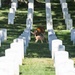 United States Soldiers’ and Airmen’s Home National Cemetery