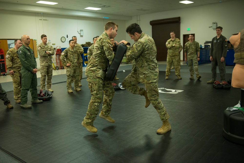 Hand to hand combatives training