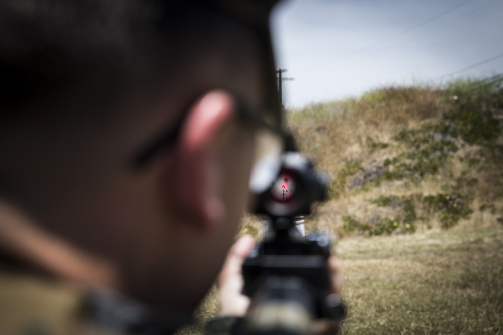Grass, brass, don't shoot trash: Headquarters and Support Battalion grass week