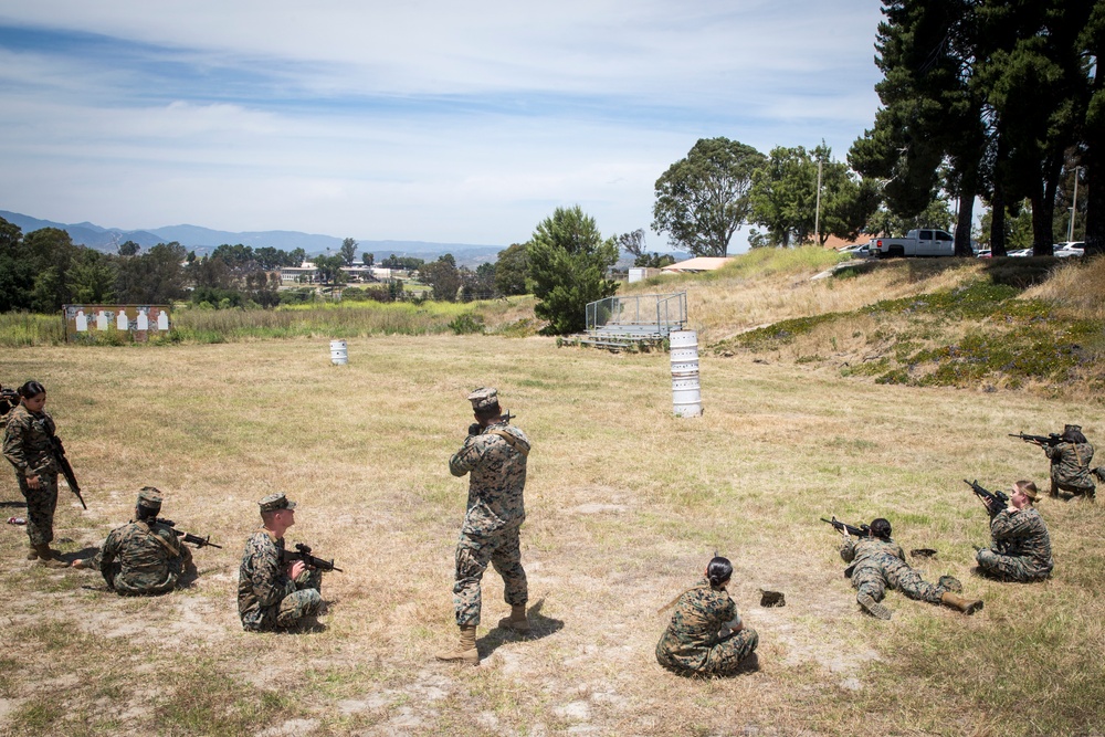 Grass, brass, don't shoot trash: Headquarters and Support Battalion grass week