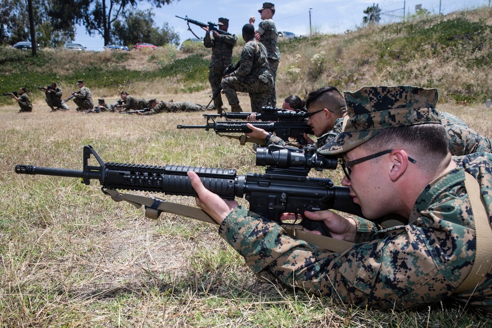Grass, brass, don't shoot trash: Headquarters and Support Battalion grass week