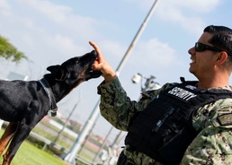Little Dog Walks Tall at NSA Naples
