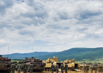 Allies Prepared to Fire Together