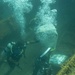 Exercise TRADEWINDS 19