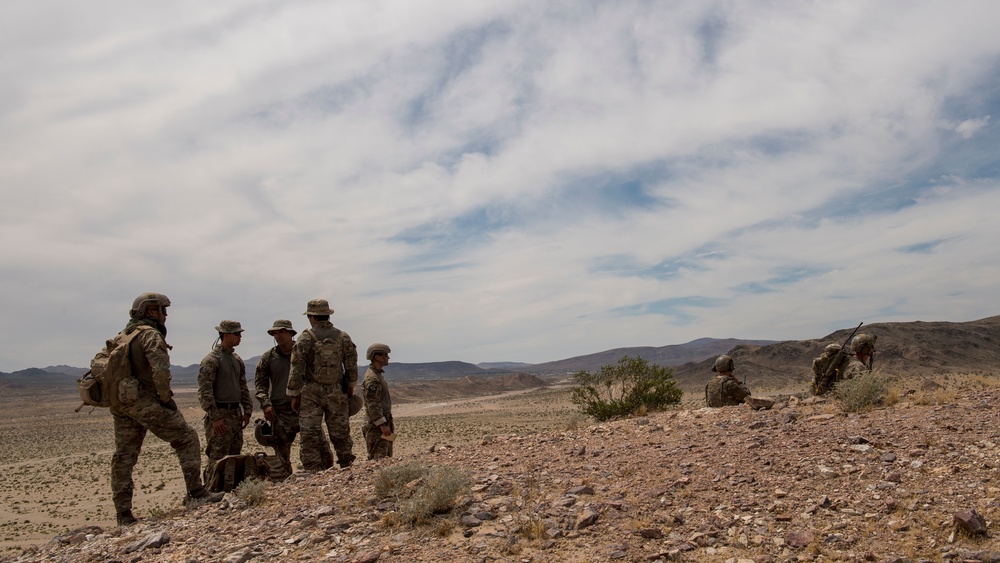 Idaho and Brazilian TACPs Train at NTC