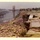 Buffalo District recalls the dewatering of the American Falls