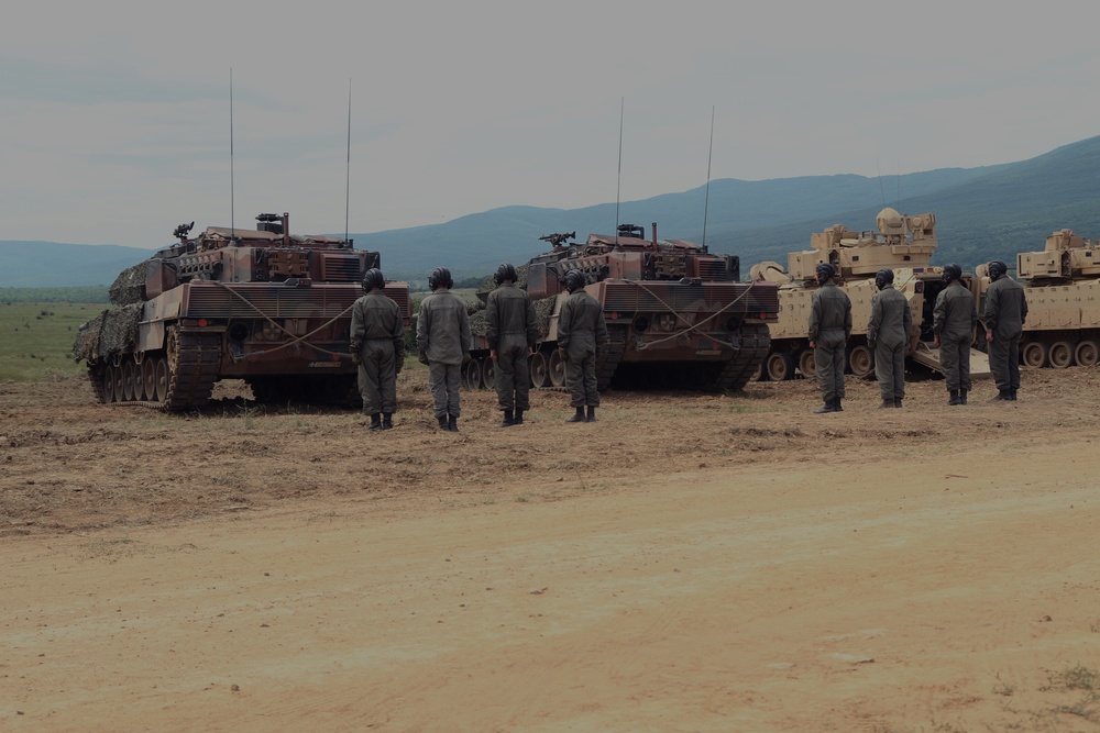 Hellenic Army patiently waits.