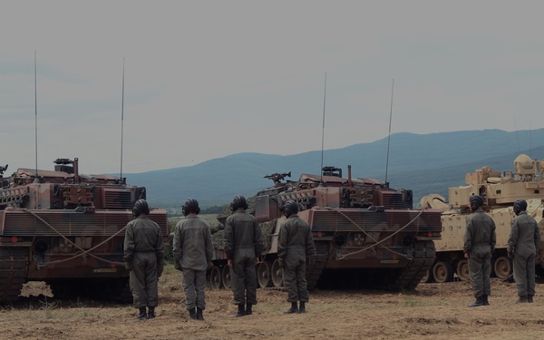 Hellenic Army patiently waits.