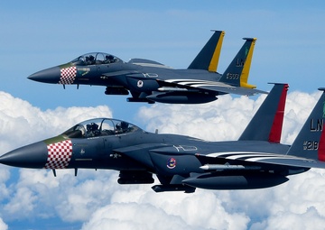 Heritage F-15E Strike Eagles