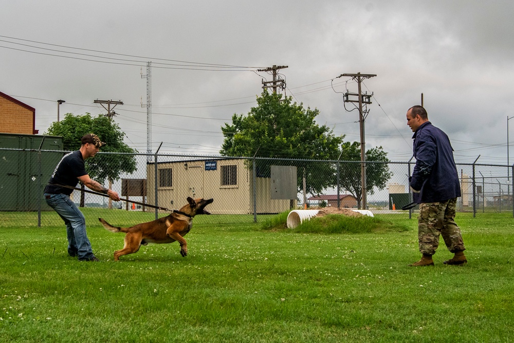 K-9 Bite Training