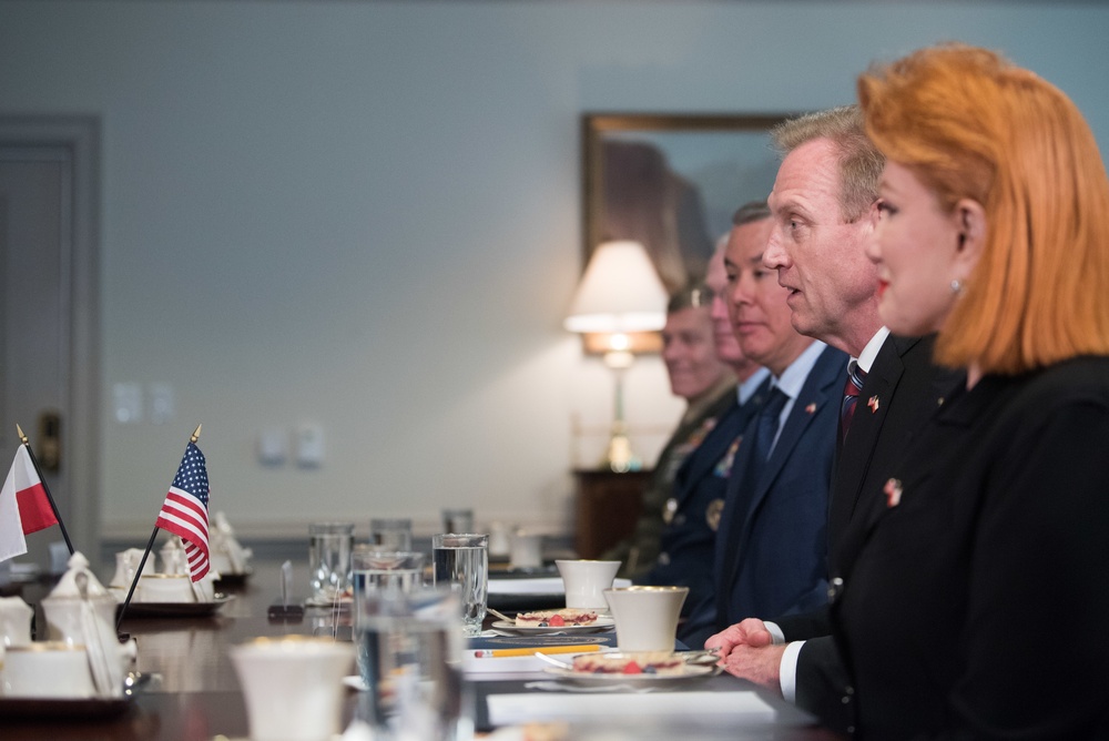 A/SD meets with Polish MoD