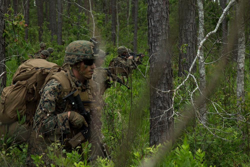 From air-to-ground: U.S. Marines conduct Exercise Steel Pike 19